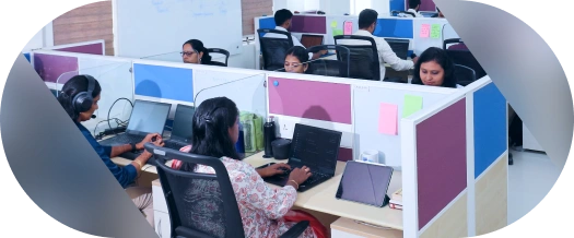 Cutom application developers